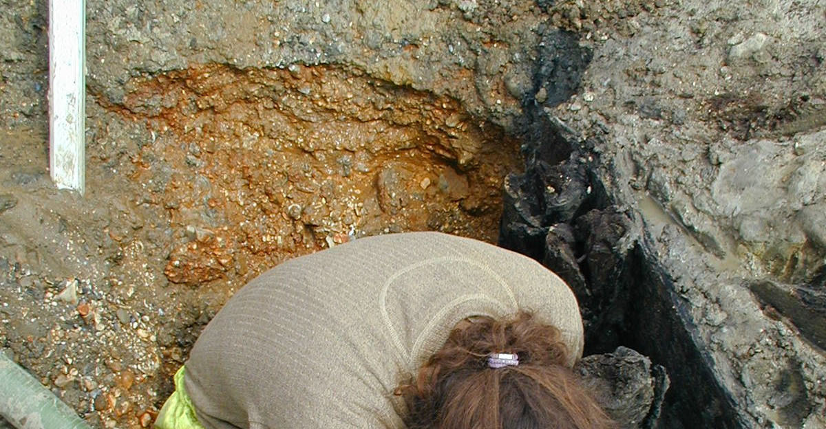 Archaeologist excavating a wooden stake from the Stratton deserted medieval village excavated 1990-2001