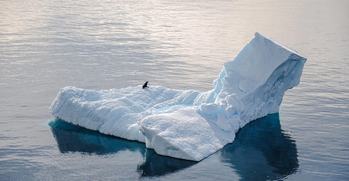 antarctica seal iceberg cold ice ocean nature alone water antarctica antarctica antarctica antarctica antarctica iceberg iceberg iceberg iceberg iceberg alone alone
