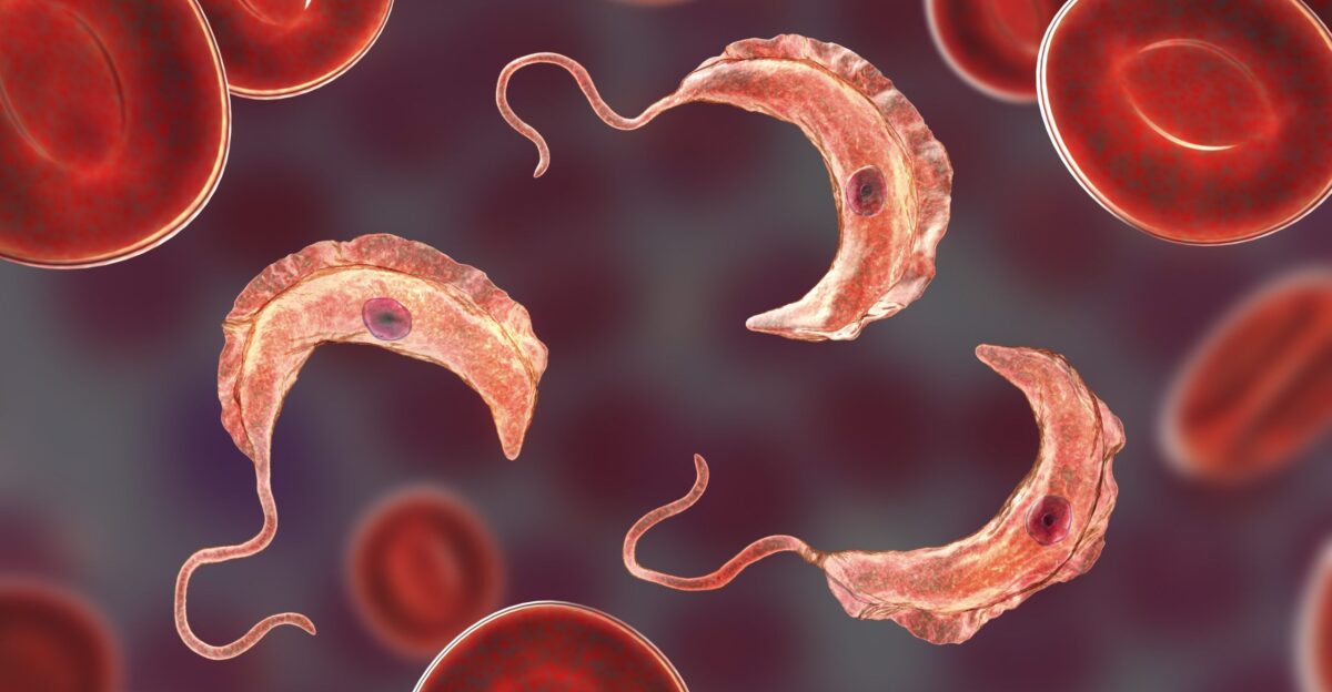 What is a pathogen by Cindy Gaskell