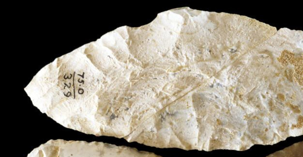 Seven Solutrean stone tools from southwestern France by Star Crossed Botanicals