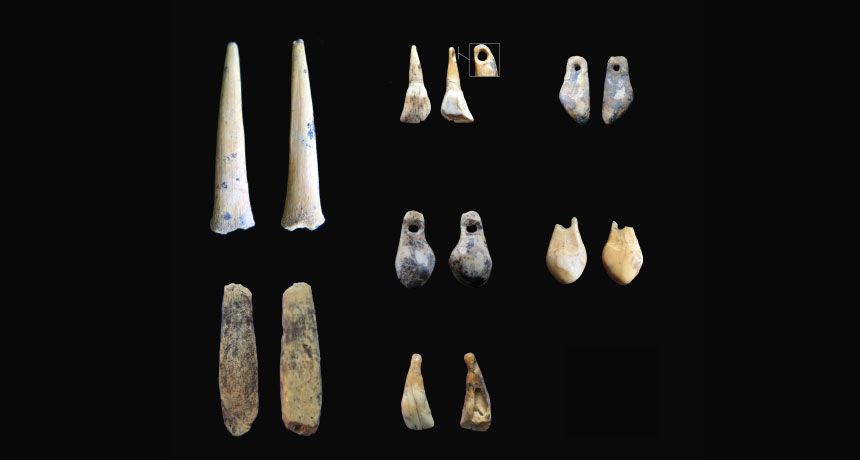 DENISOVAN DESIGNS Bone points and pierced animal teeth dating to around 45 000 years ago from southern Siberia may have been made by enigmatic hominids called Denisovans researchers say K Douka by Indiana University East - Campus Library
