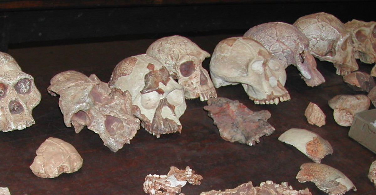 Fossil Hominid Sites of South Africa South Africa