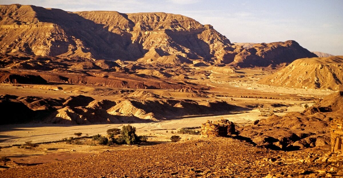 sinai nature desert egypt travel
