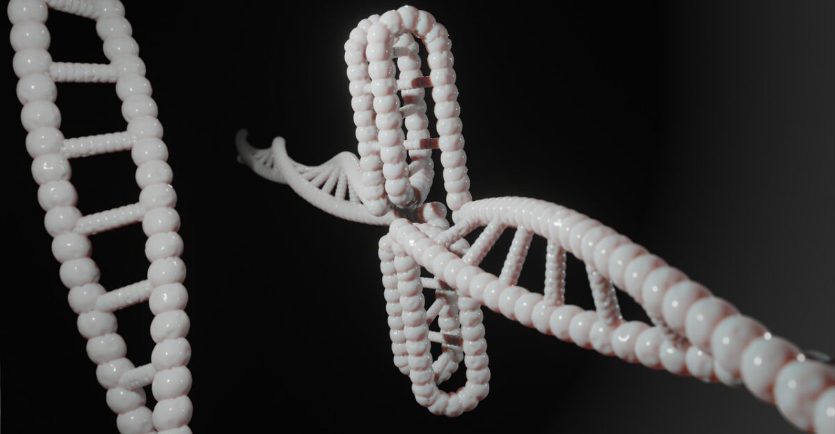 human dna genetic cytosine c-rich regions i-motif i-tetraplex i-dna dns i-motif dna quadruplex g-quadruplex non-b-dna dna dna dna dna dna genetic