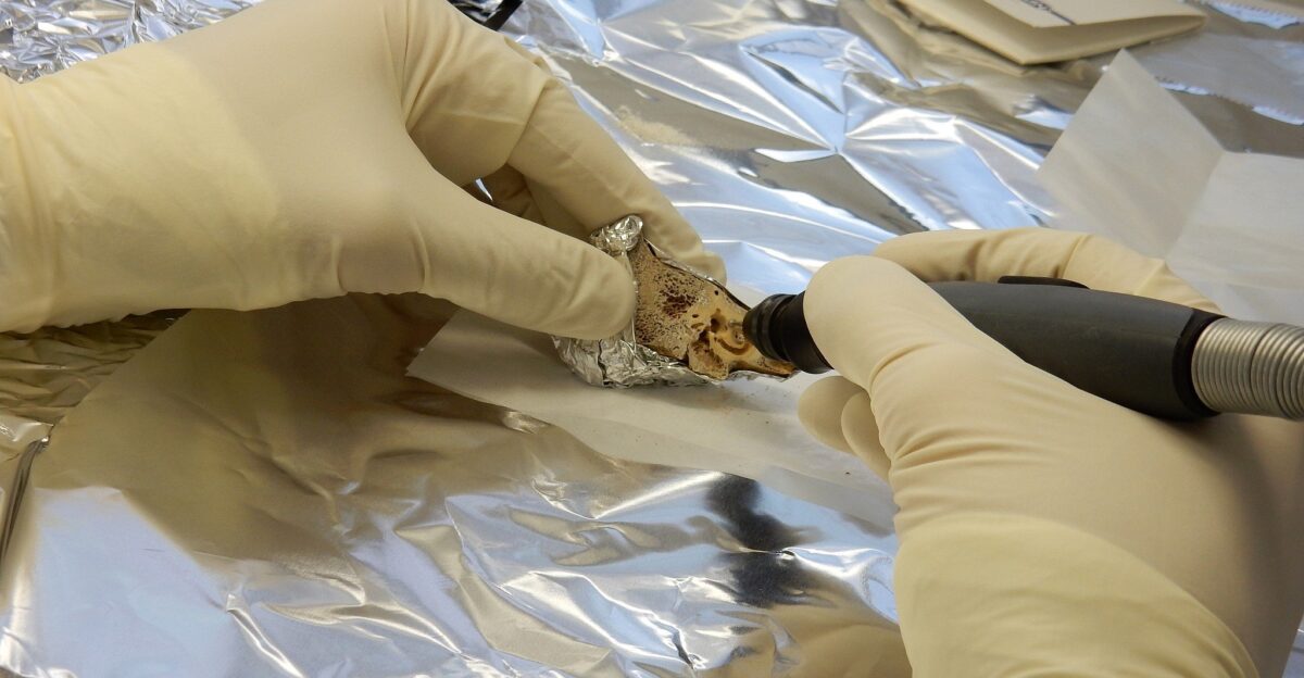 Know thine enemy DNA study solves ancient riddle of origins of