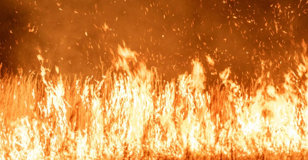 Intense flames and smoke rise from a grass fire during twilight creating a dramatic scene