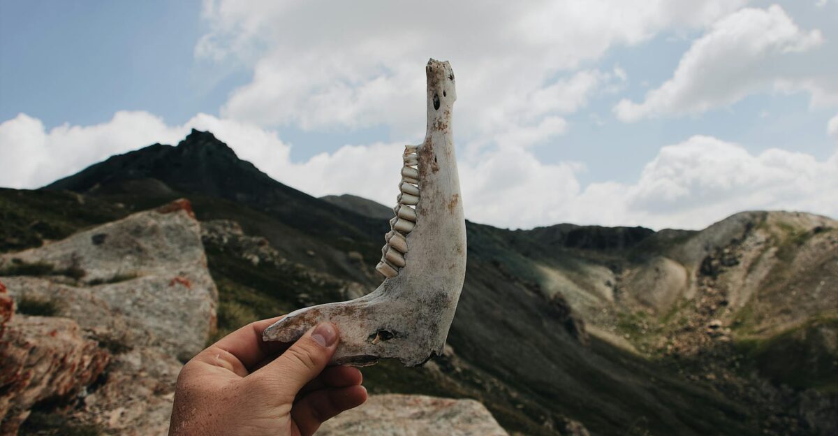 A person holding an animal jawbone in the mountains under a cloudy sky
