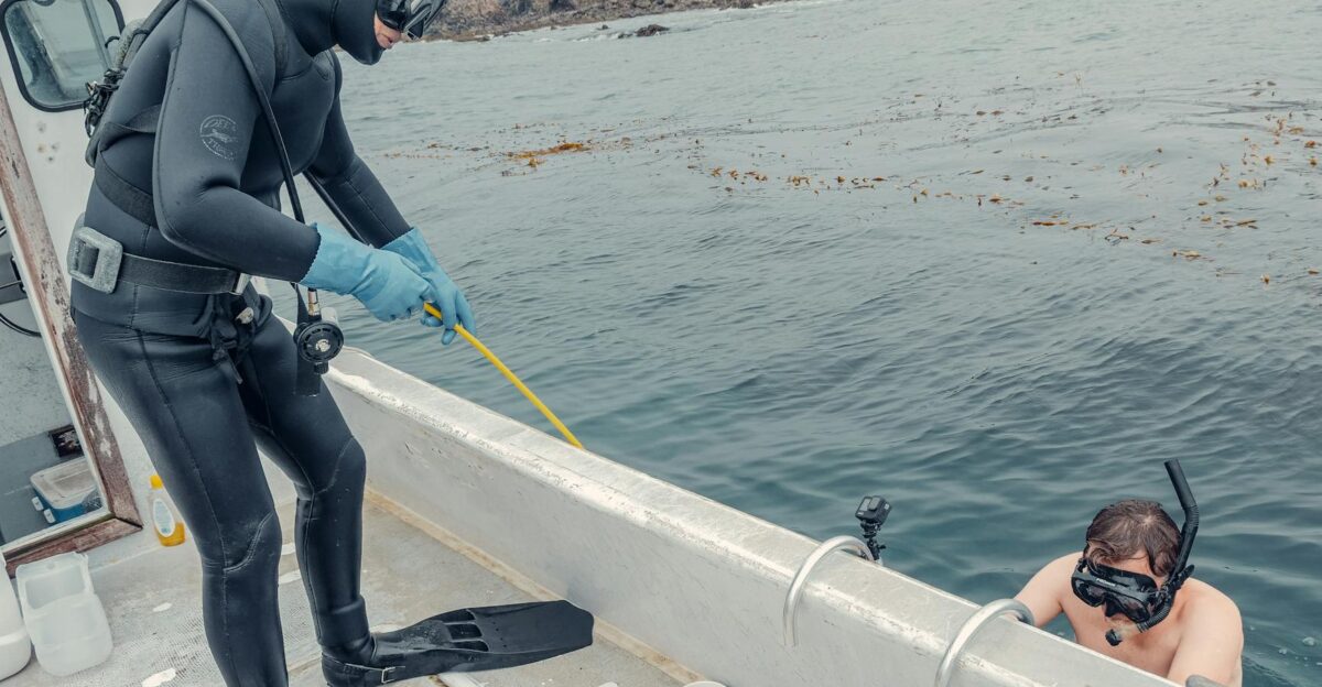 Two divers prepare on a boat one in a wetsuit standing with gear another in water holding the boat