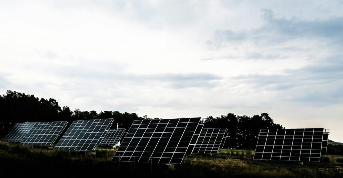 silhouette photography of assorted solar panel behind trees