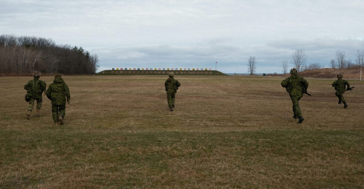 green grass field under white sky during daytime
