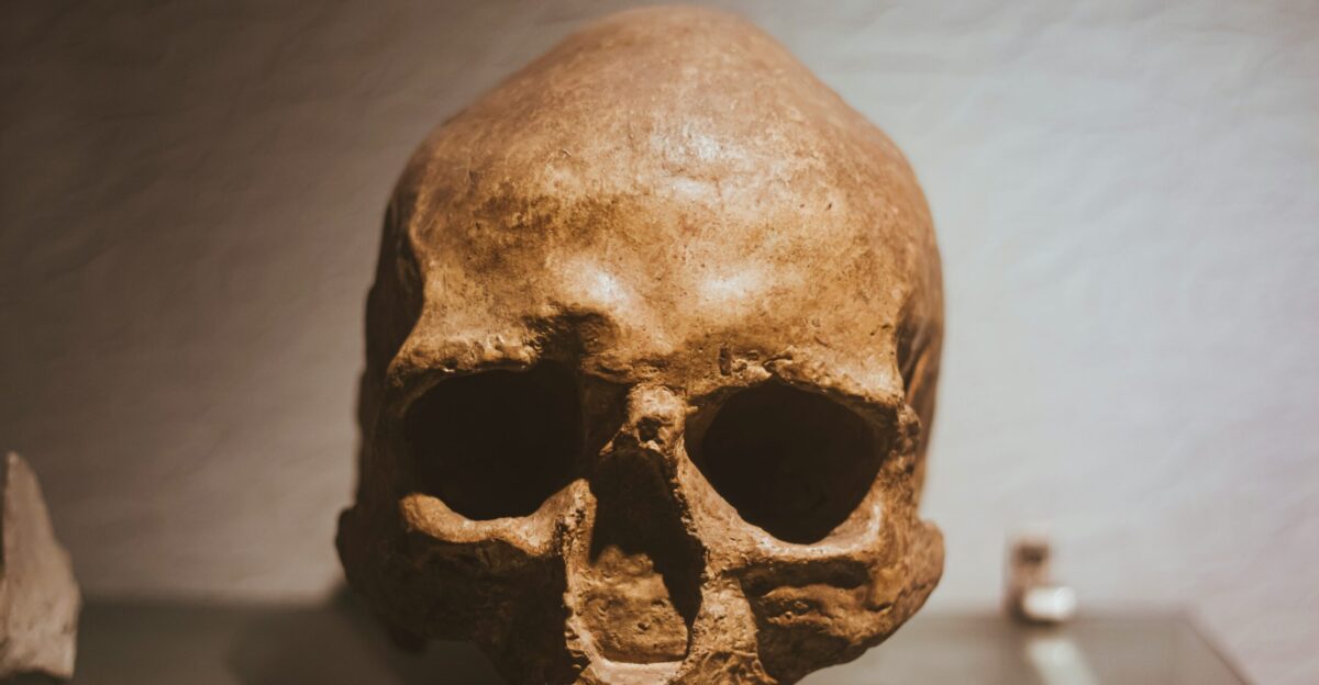 a skull on a table
