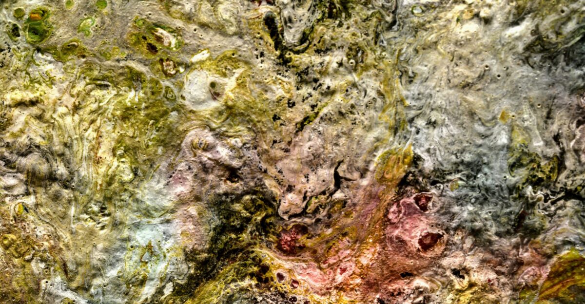 a close-up of a rock