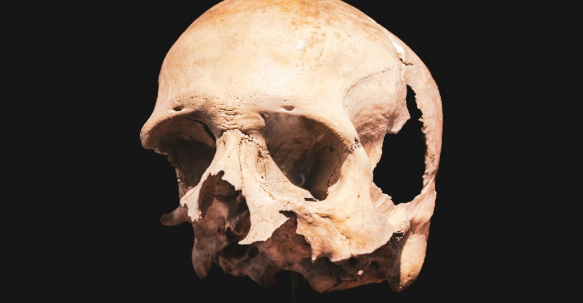 a close up of a human skull on a black background