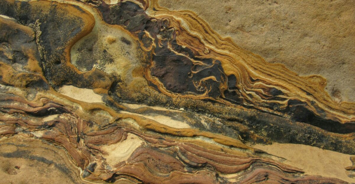 A close up of a rock with a pattern on it