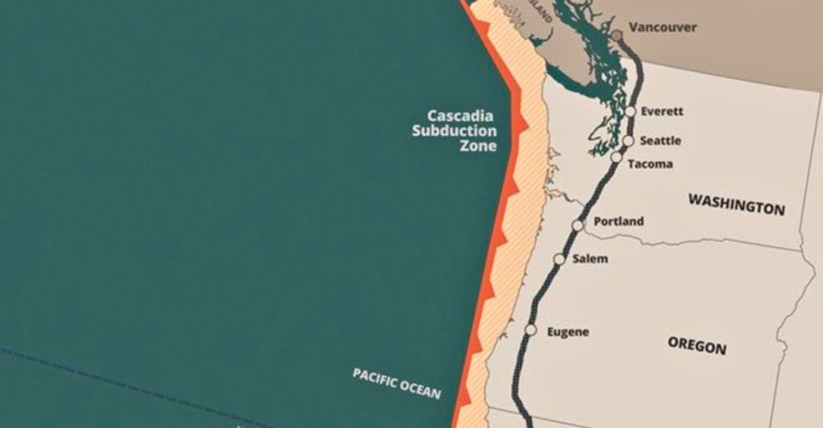 Japan tsunami 2025 10 years later