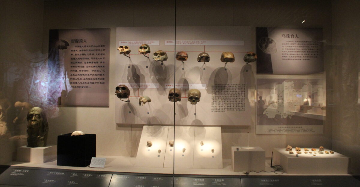 Shandong Provincial Museum Jinan Neolithic Gallery Complete indexed photo collection at WorldHistoryPics com
