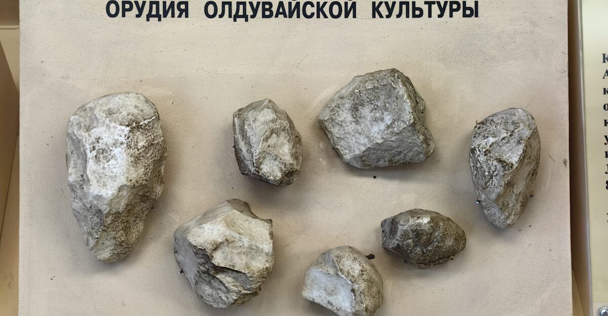 Tools of Oldowan culture