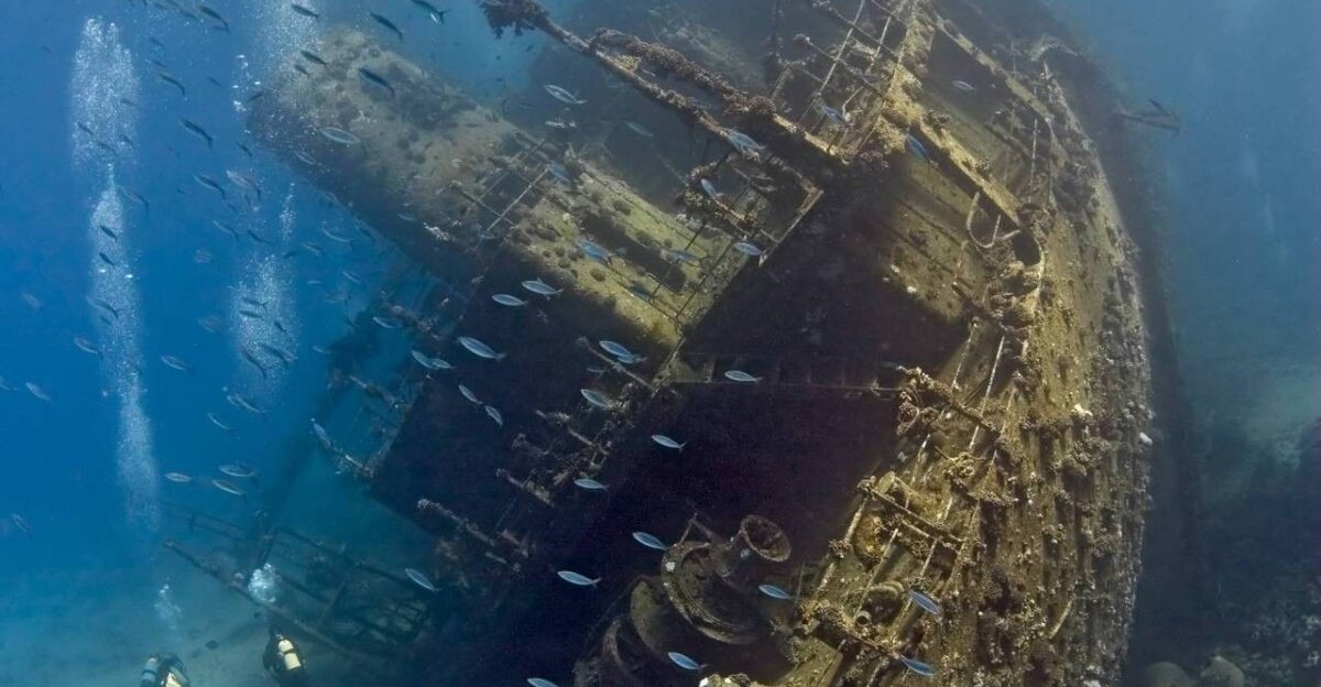 Shipwreck in the Red Sea 2252x3580 x-post from r Travel HD by Chris Johnson