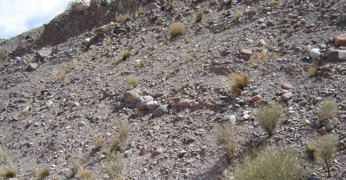 Alluvium from the Mendoza river Argentina