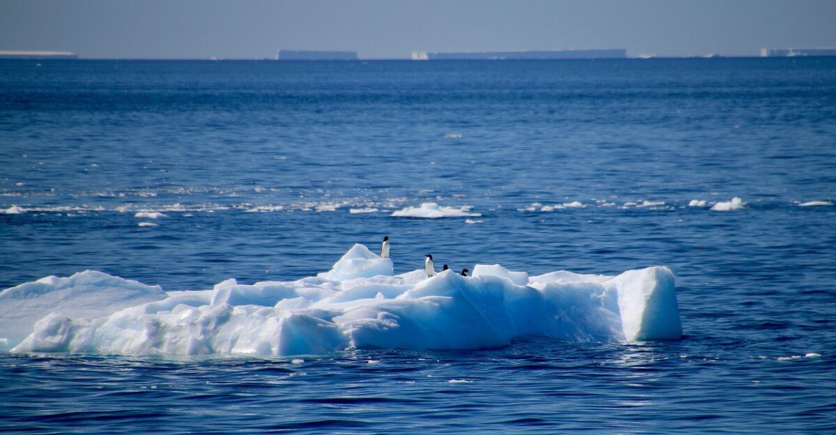 antarctica antarctica peninsula weddell sea ice iceberg nature penguins wildlife animal sea water blue