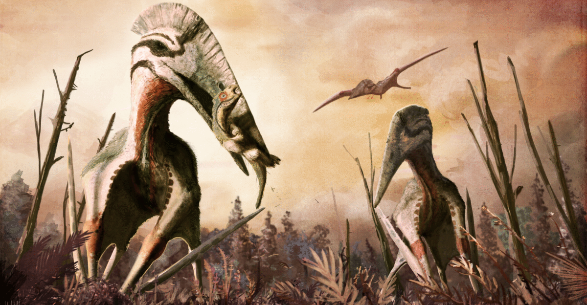 File Hatzegopteryx png - Wikimedia Commons