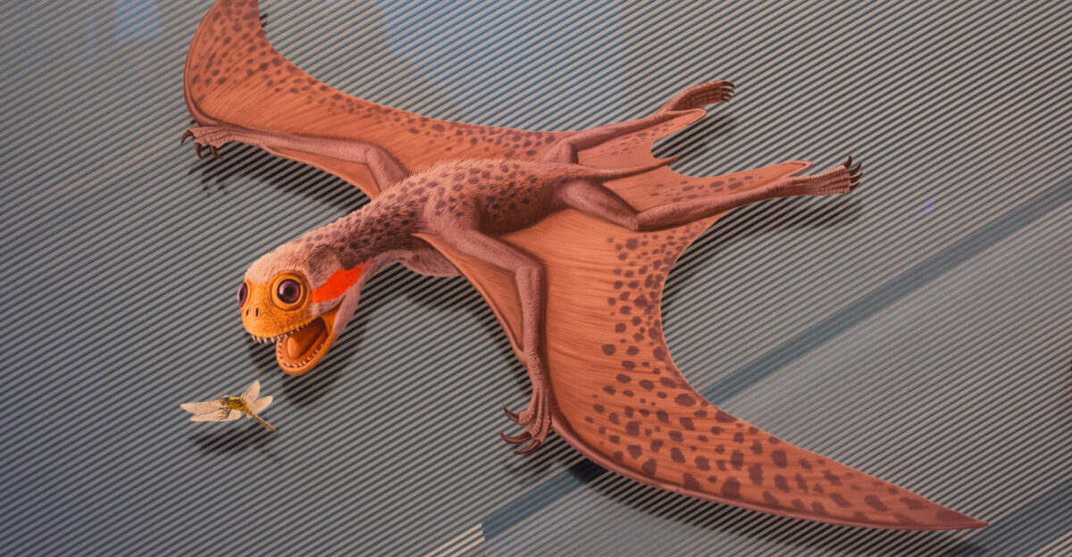 Jeholopterus ninchengensis illustration - Pterosaurs Flight in the Age of Dinosaurs