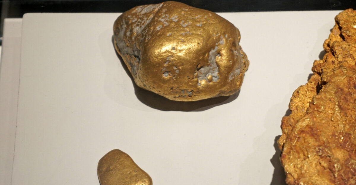 This is the largest gold nugget found in Costa Rica weight 2 3 Kg disvovered in the Sierpe River Delta South Pacific region Museo del Oro Precolombino San Jos Costa Rica
