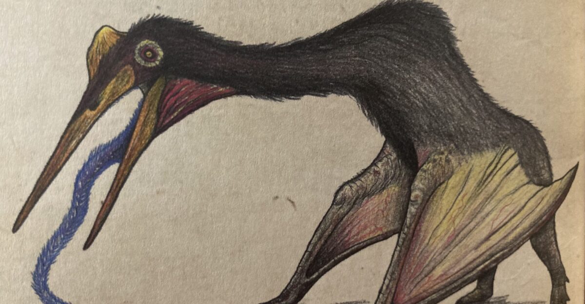 Quetzalcoatlus Primitive War Wiki Fandom