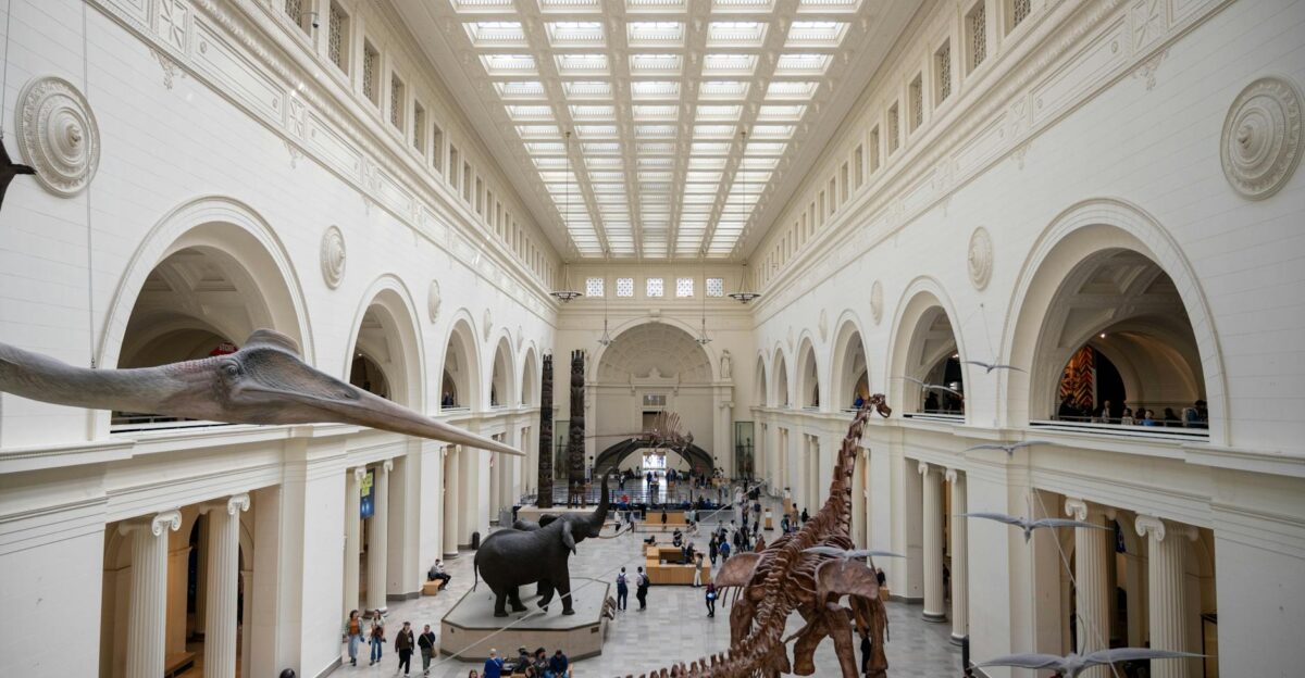 Wide-angle view of dinosaur skeletons at Field Museum Chicago