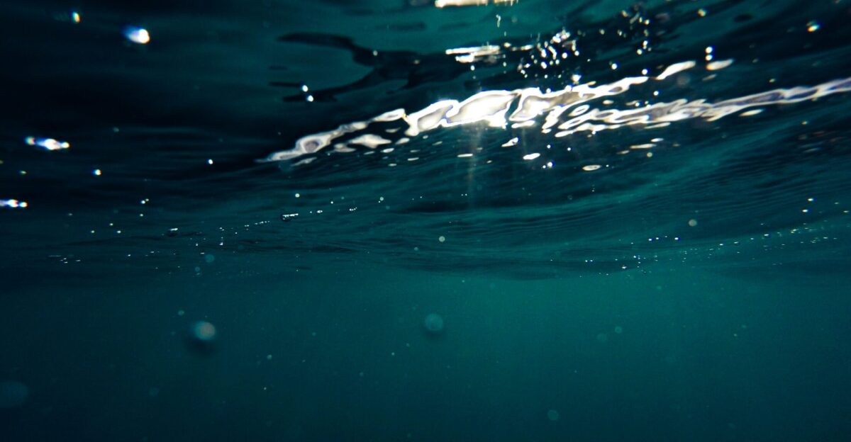 closeup photo of green water formation