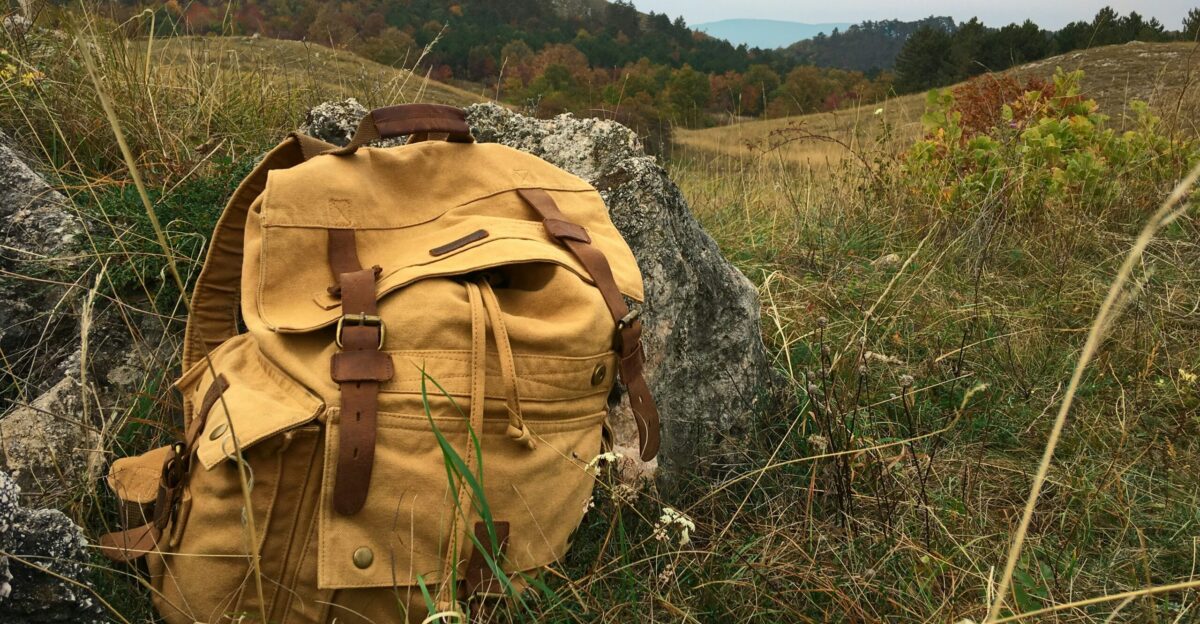 brown backpack on green grass field