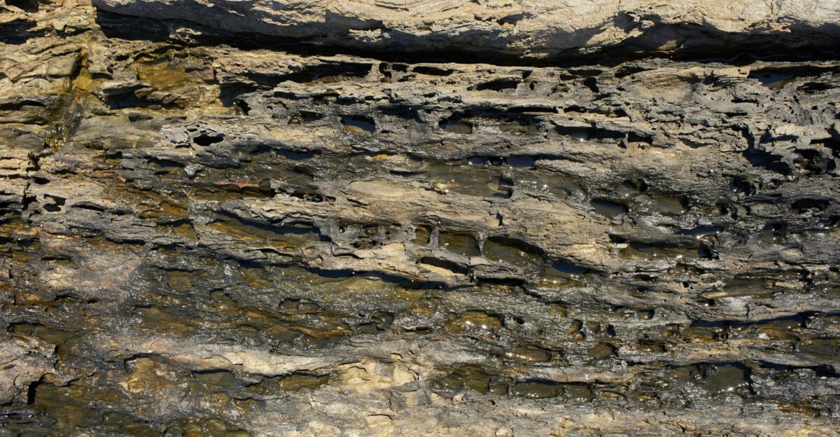 a rocky area with cracks