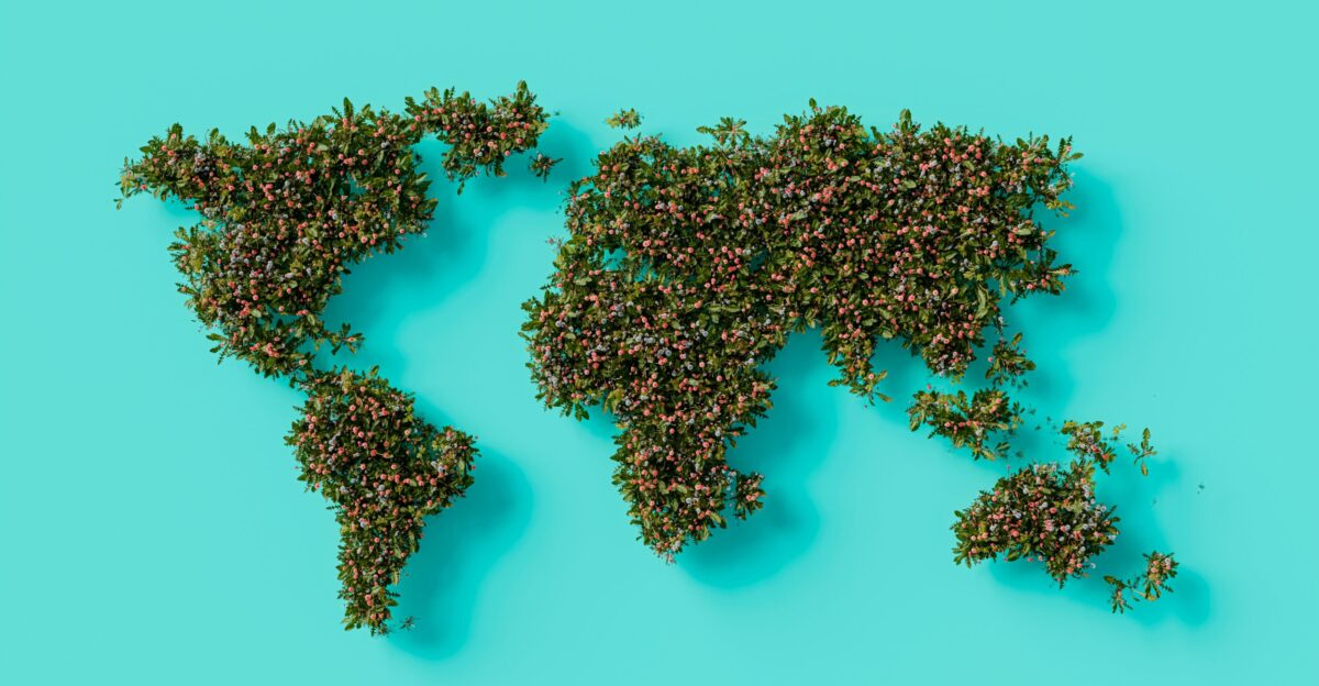 a map of the world made up of tiny plants
